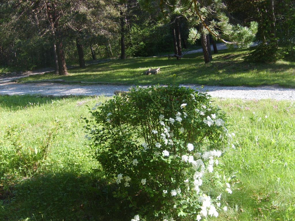 Bed and Breakfast Domaine De Lara Barcelonnette Exterior foto